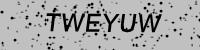 Visual verification