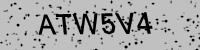 Visual verification