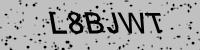 Visual verification
