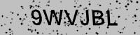 Visual verification