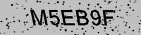Visual verification