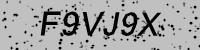 Visual verification
