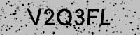 Visual verification