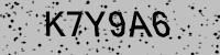 Visual verification