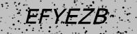 Visual verification