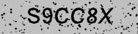 Visual verification